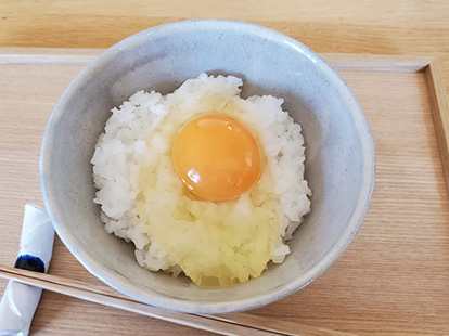 放し飼い卵「福がきた」６個入×４パック