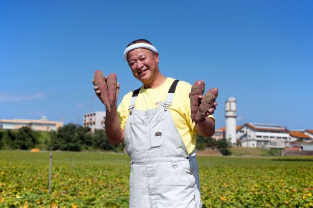 五郎島金時農家のこだわり