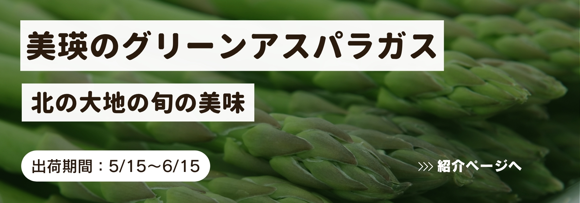 北海道　美瑛のグリーンアスパラ／北の大地の旬の美味。ほのかな甘みとほっくりとした口あたりは格別です！