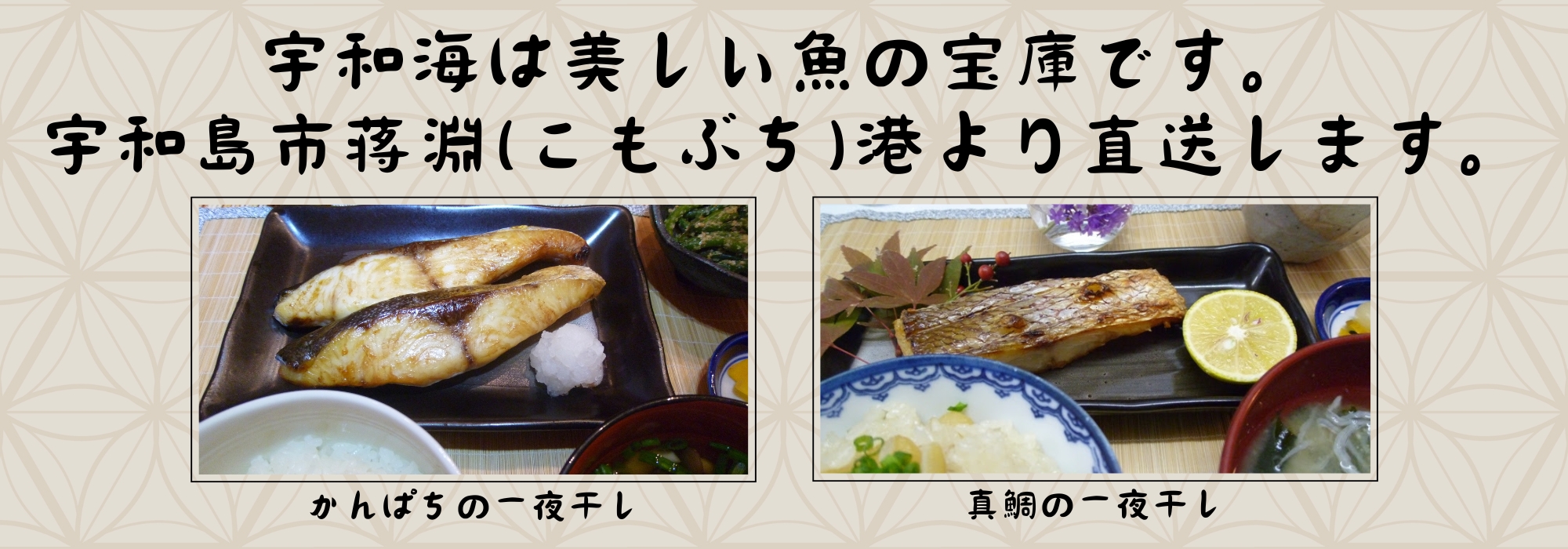 愛媛 宇和島 蒋淵(こもぶち) かんぱちの一夜干し、真鯛の一夜干し、真あじの開き/1つずつの真空パック入りなので、調理も保存もとっても簡単です。