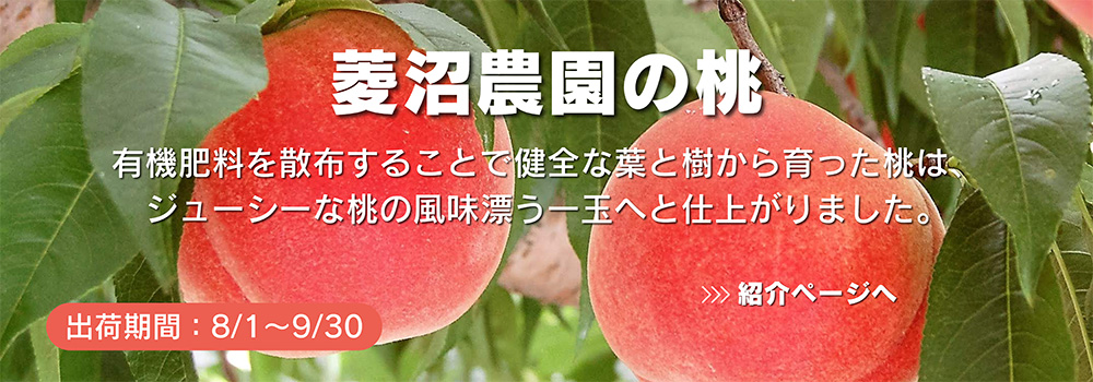 福島　菱沼農園の桃／有機肥料を散布することで健全な葉と樹から育った桃は、ジューシーな桃の風味漂う一玉へと仕上がりました。
