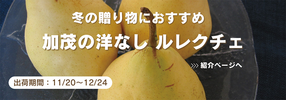 新潟　加茂の洋なし　ルレクチェ／甘くて濃厚な味、なんともいえぬ甘い香り・・・。果実のサイズも大きく、ギフトにも最適です。