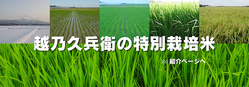 越乃久兵衛の特別栽培米