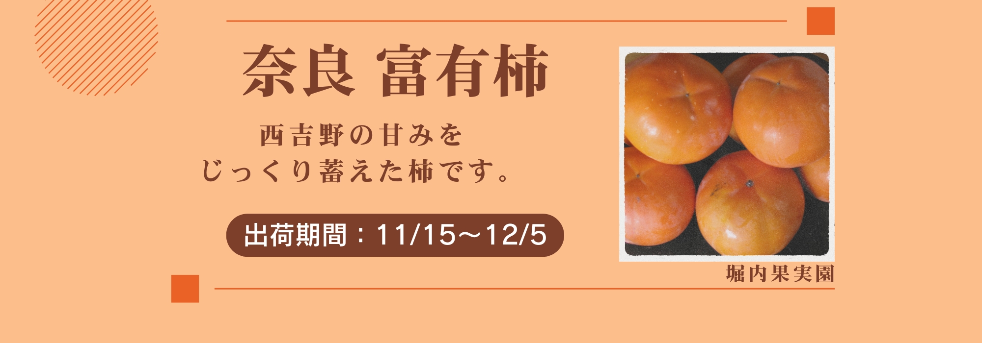 奈良 西吉野 堀内果実園の富有柿/甘みをじっくり蓄えた柿です。柿の木で完全に熟した実だけを収穫する事を心がけています。
