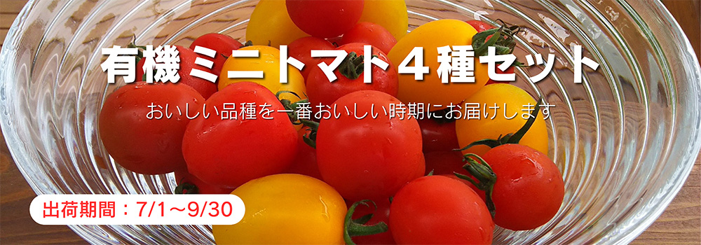 北海道　大塚ファームの有機ミニトマト４種セット／おいしい品種を一番おいしい時期にお届け！トマト甲子園優勝三度の大塚ファームの有機栽培認証ミニトマトです。