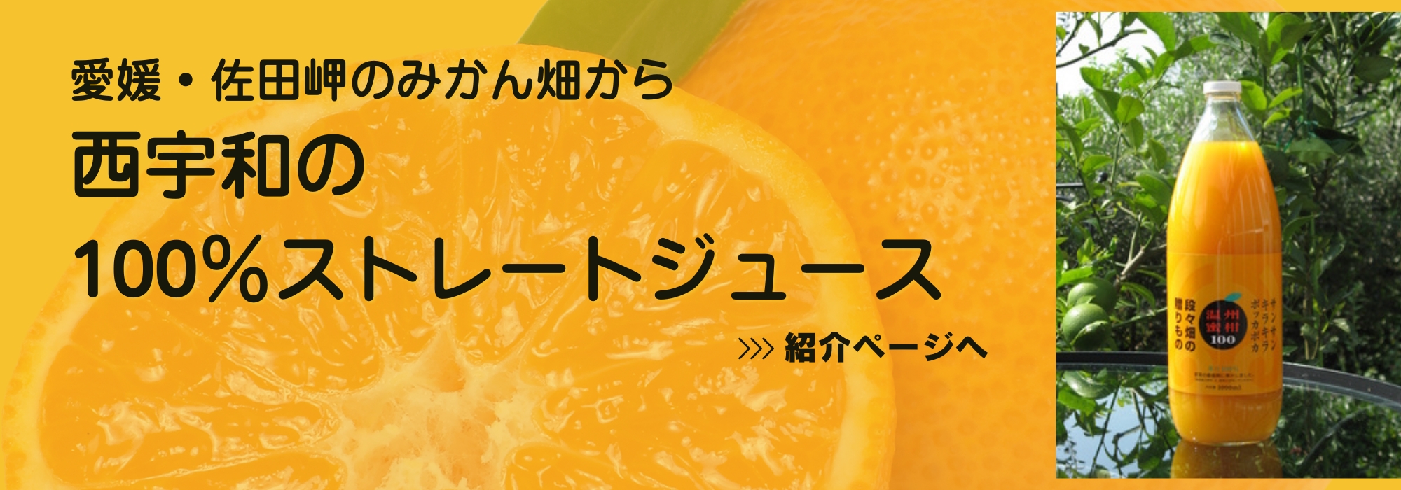 愛媛 西宇和 佐田岬のみかんジュース/無添加の果汁100%ジュースです。