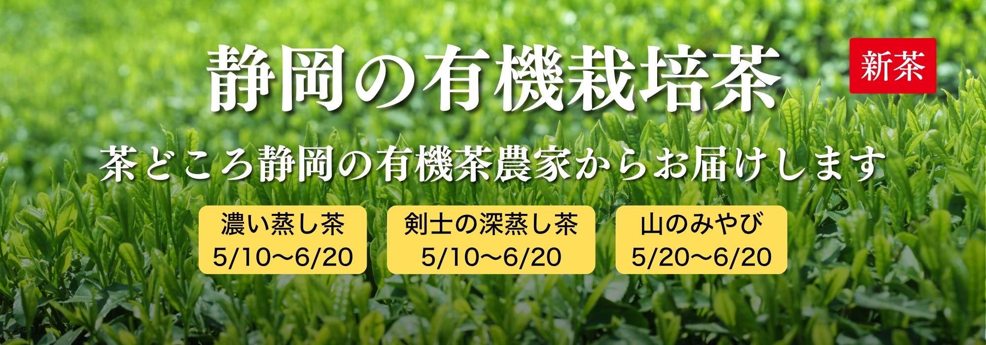 静岡の有機栽培茶／こだわりの農家が無農薬で作った逸品です。